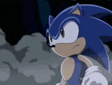a cartoon of sonic the hedgehog standing in a foggy forest