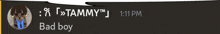 a screenshot of a speech bubble that says tammy 1:11 pm bad boy