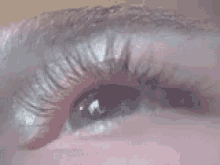 Eye Movement GIF - Eye Movement GIFs