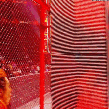 a person is standing behind a chain link fence in a cage .