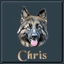 Chris Chris Name GIF - Chris Chris Name Name GIFs