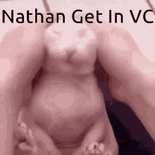Nathan Vc Nathan GIF - Nathan Vc Nathan Bingus GIFs