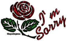 Red Rose Sorry GIF