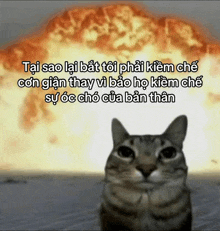 a cat is standing in front of a large explosion with a foreign language caption above it