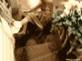Passions Grace GIF - Passions Grace Stairs GIFs