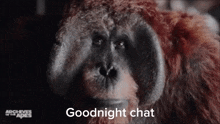 Good Night Planet Of The Apes GIF