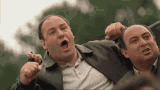 tony-soprano-tony-and-piocosta.gif