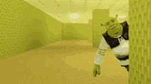 shrek is peeking out from behind a wall in a room .