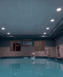 a man with dreadlocks is swimming in a pool and looking at the camera