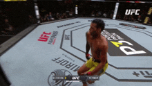 a fighter in a ufc ring celebrates a victory