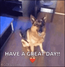 dog happy dance excited have a great day heart