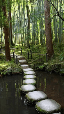 Japan Relax GIF - Japan Relax Nature GIFs