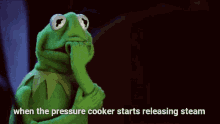 Homemade Kermit GIF - Homemade Kermit Cooking GIFs