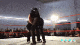 a wrestling ring with the word bdwj on the bottom right