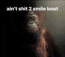 a picture of a monkey with the words " ain 't shit 2 smile bout "