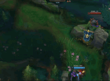 wild rengar league of legends invisible stealth