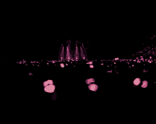 a crowd of people are gathered in a dark room with pink lights