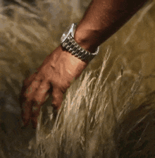 a close up of a person 's hand touching the grass