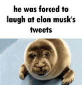 He Was Forced To Laugh At Elon Musk'S Tweets Elon Musk Meme GIF - He Was Forced To Laugh At Elon Musk'S Tweets Tweets Elon Musk Meme GIFs