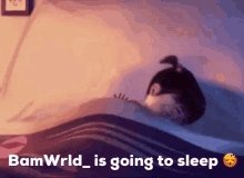 Bam Wrld Sleep GIF - Bam Wrld Sleep Goingto Sleep GIFs