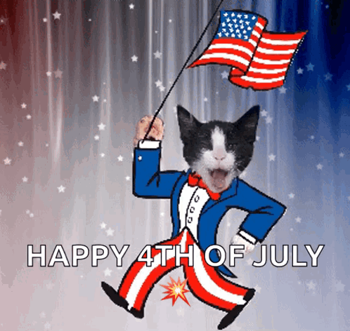 Cute Cat Us Shoe 4Th Of July - Animal Happy Independence America