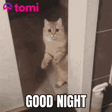 Tomi Tominet GIF - Tomi Tominet Meme GIFs