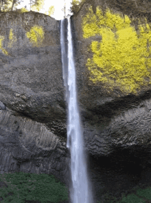 Falls Nature GIF - Falls Nature Water GIFs