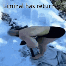 Liminal Has Returned Liminal Viking GIF - Liminal Has Returned Liminal Viking Liminal GIFs