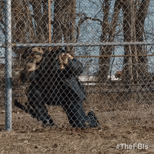 fbi climbing fence