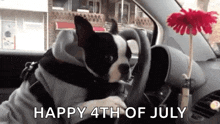 a dog is sitting in the driver 's seat of a car with a flower on the dashboard .