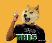 This Doge GIF - This Doge GIFs