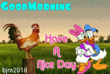 good morning have a nice day donald duck rooster chicken