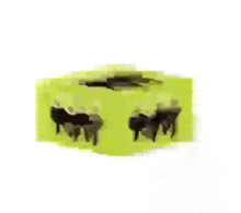 a yellow cube with a picture of a group of people inside of it