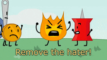 Remove The Hater Bfb GIF - Remove The Hater Bfb Bfdi GIFs