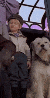 a little boy standing next to a dog wearing a hat