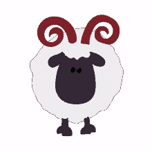 cudakowo terazwy sheep animal cudakowo terazwy sheep animal