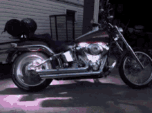 Biker Harley Davidson GIF