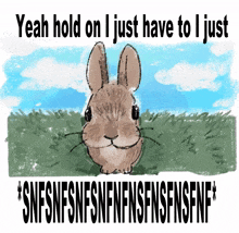 Bnuny Bunny GIF - Bnuny Bunny Sniff GIFs