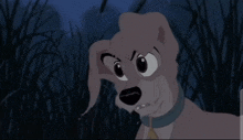 Scamp Lady And The Tramp 2 GIF