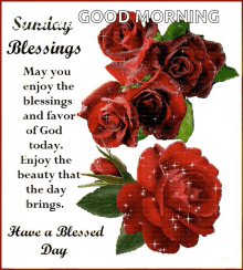 sunday blessings have a blessed day roses shinning glittery