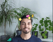 King Stickers GIF - King Stickers Funny GIFs