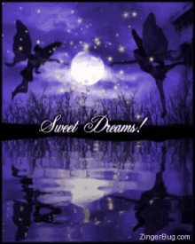 Good Night Sweet Dreams GIF - Good Night Sweet Dreams Fairy GIFs