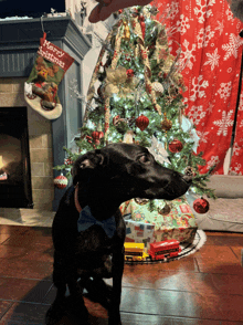 Merry Christmas Happy Holidays GIF - Merry Christmas Happy Holidays Dog Meme GIFs