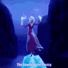 Frozen Frussy GIF - Frozen Frussy Elsa GIFs