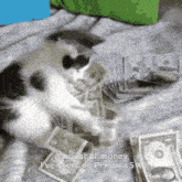a cat laying on top of a pile of money with the words amount of money i 've spent on persona 5x below it