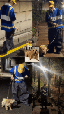 a man wearing a blue shirt that says ' seoul ' on it walking a dog