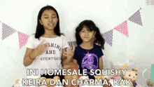 ini home sale squishy penjualan squishy obral keira dan charma this is our squishy home sale