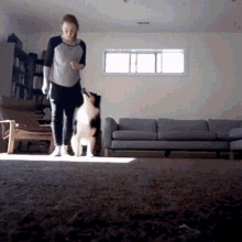 Dog Dance GIF - Dog Dance Training GIFs