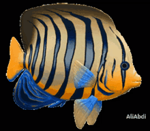 Fish Animated Pictures GIFs | Tenor