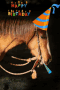Happy Birthday Horse GIF - Happy Birthday Horse Party Horn GIFs